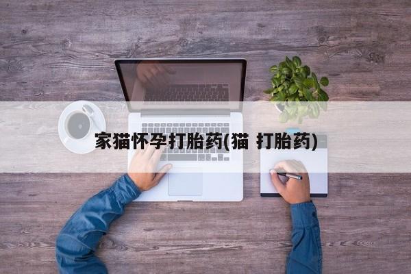 私人打胎药微信，家猫怀孕打胎药(猫 打胎药)